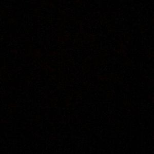 Meet your Posher, Elisa